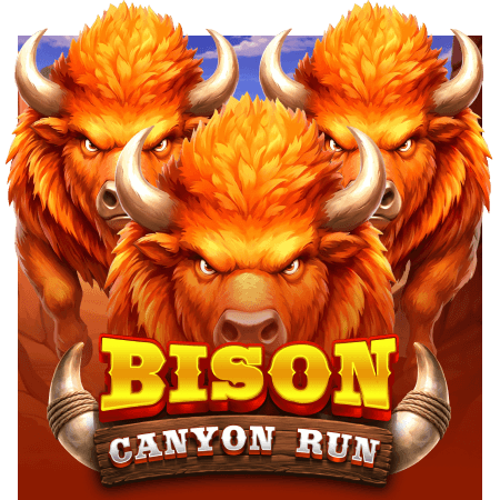 Bison - Canyon Run