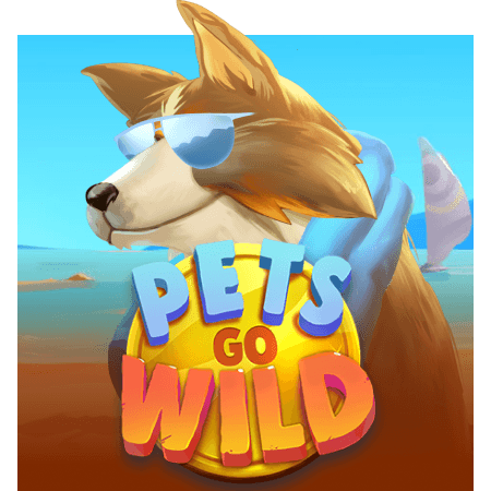 Pets go Wild
