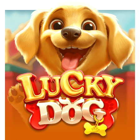 Lucky Dog