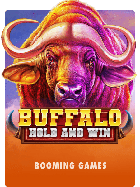 Buffalo Hold And Win