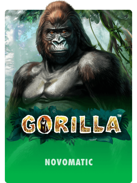 Gorilla