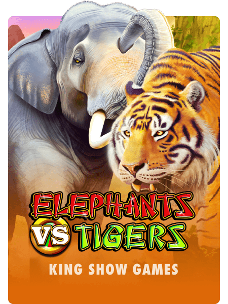 Elephants V Tigers