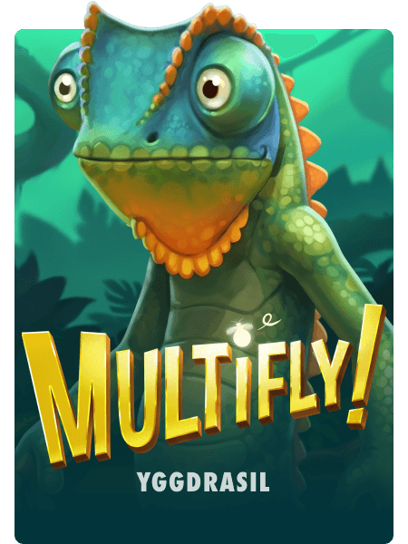 MultiFly!