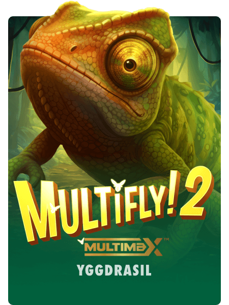 Multifly! 2 Multimax