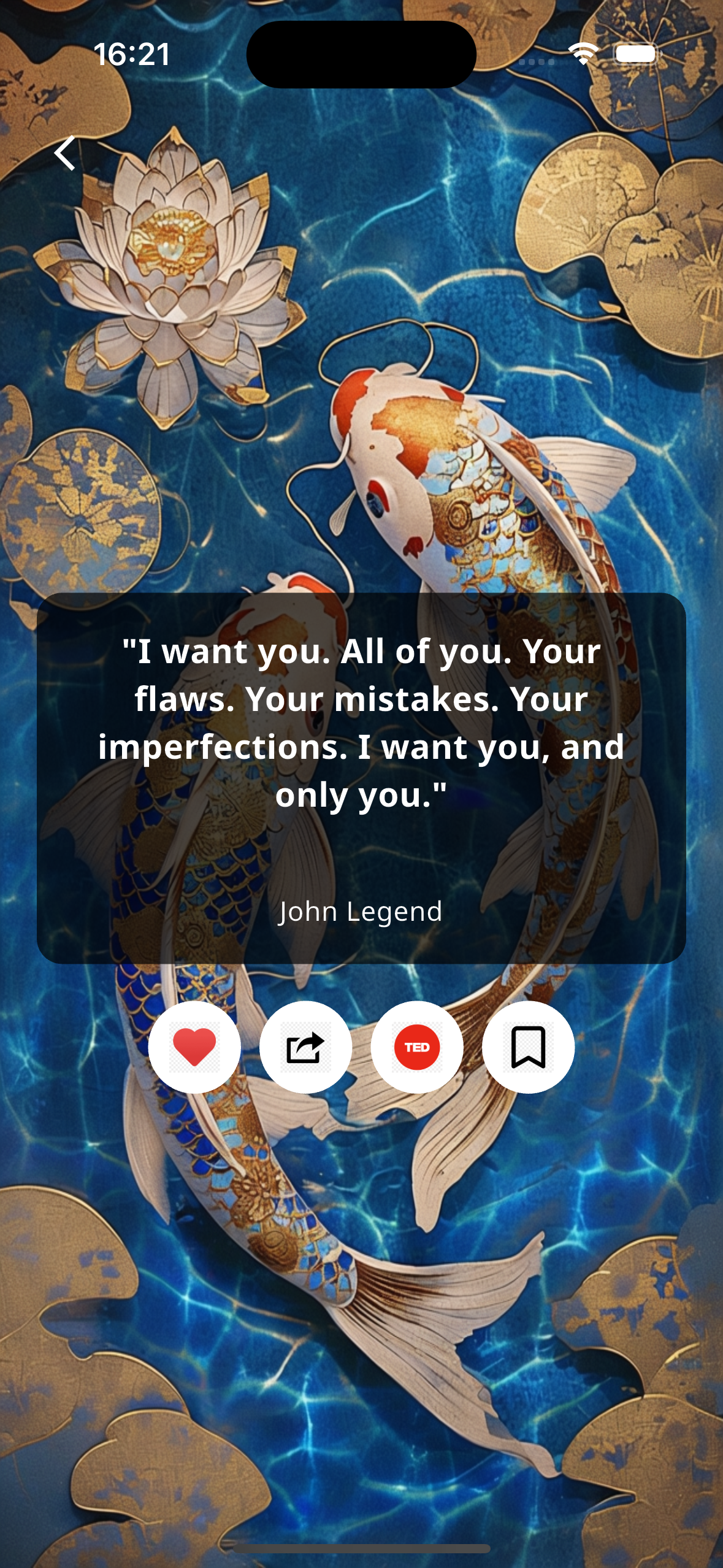King-Chi Self Care App Screenshot