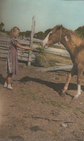 Obituary Photo for Dawn Truman Fallows