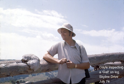 Obituary Photo for Gayle Ralph Anderson