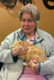 Obituary Photo for Joan Barbara Stringham