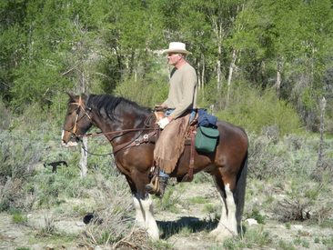 Obituary Photo for Mark Edward Eaton