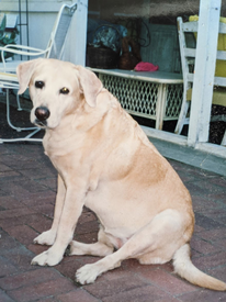 Obituary Photo for Robert Graham Bennion