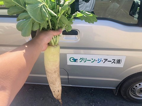 青森県グリーン・ジ・アース