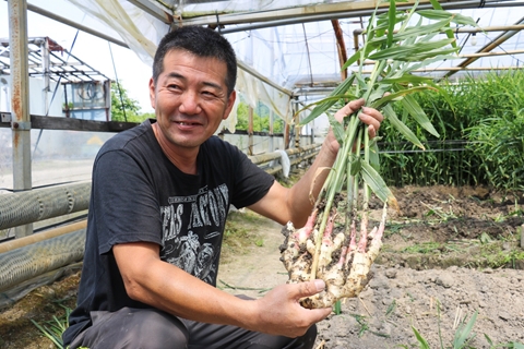 高知春野