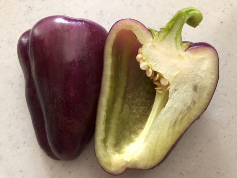 積算温度が色づきの決め手 8色の彩りパプリカ 株式会社まつの 積算温度が色づきの決め手 8色の彩りパプリカ 株式会社まつの