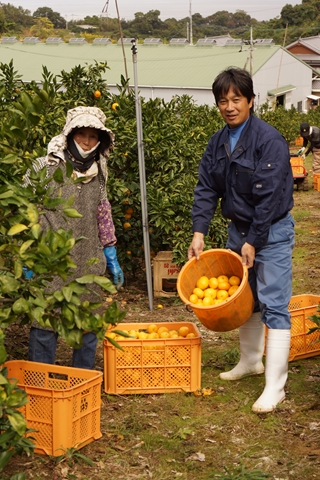 一度食べたら虜に かねひろの 黒酢みかん 株式会社まつの