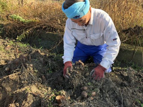 農業で地方創生にかける想い 株式会社まつの