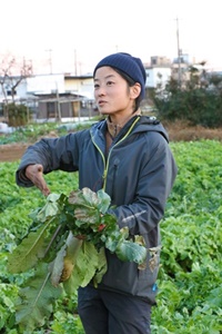 所沢・東京野菜