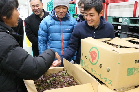 野菜くらぶ