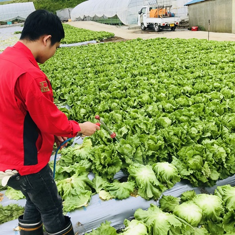 まつの菅平産地研修