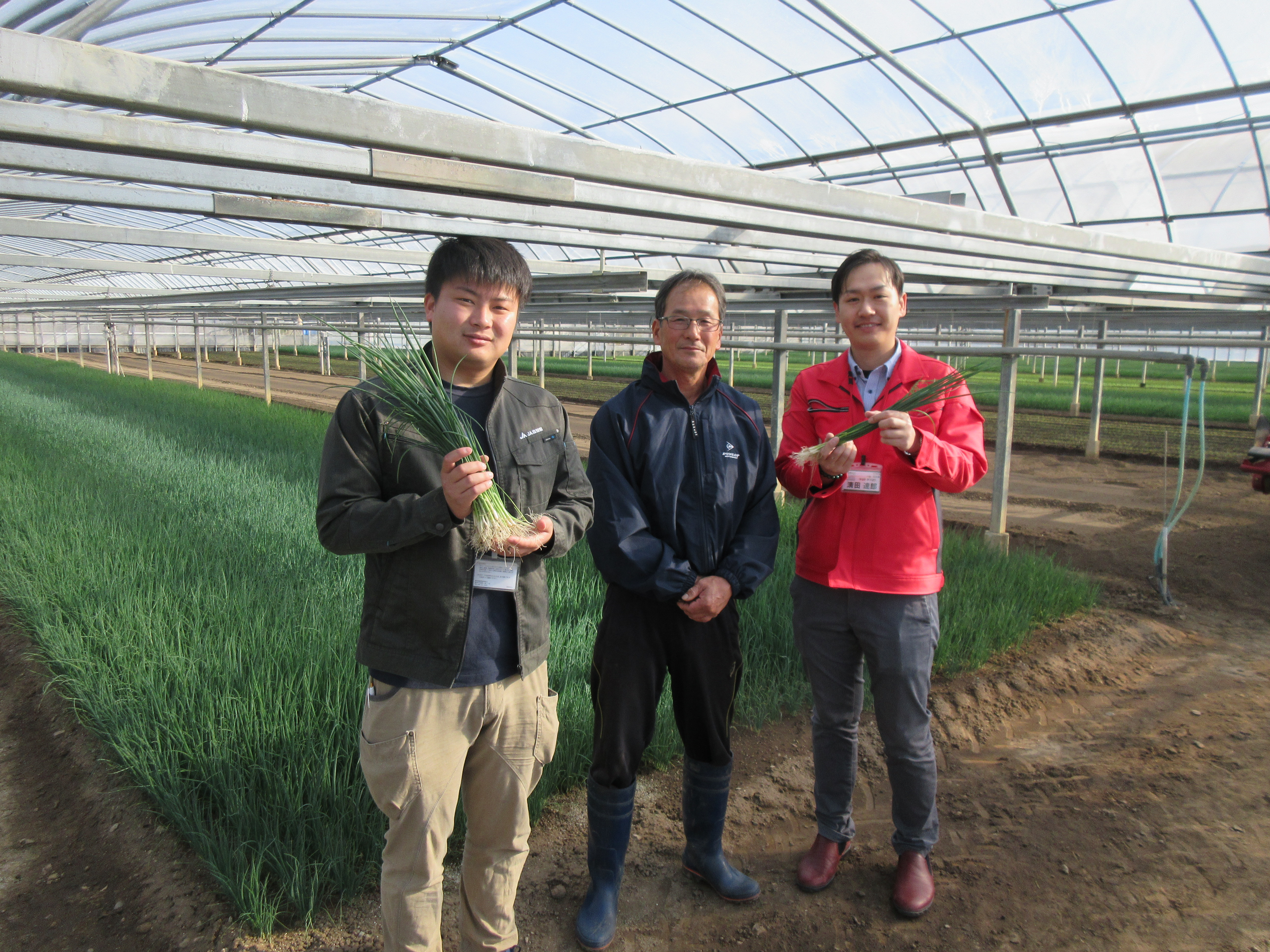 【JA高知県│後編】やっこねぎ・にら・土佐甘とう・小茄子の産地へ