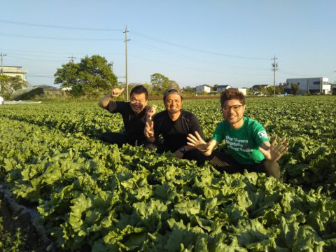 モス野菜セット