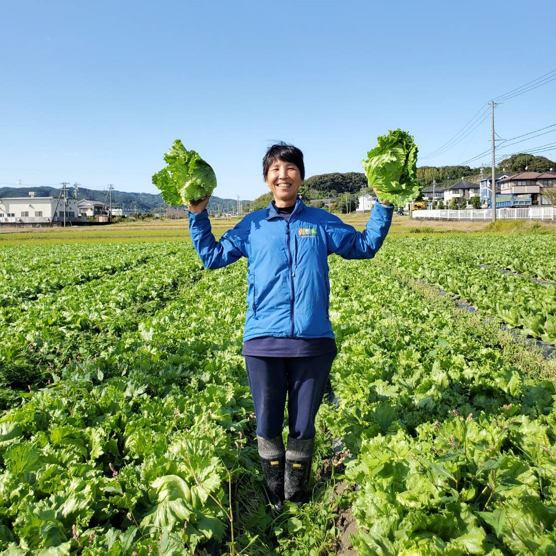 農家お助け 宅配 を再復活 緊急事態宣言下で食べて応援 株式会社まつの