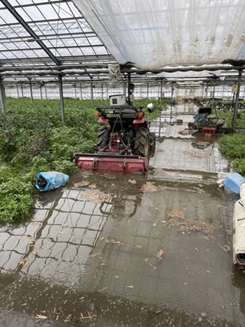 【速報】大雨による産地被害