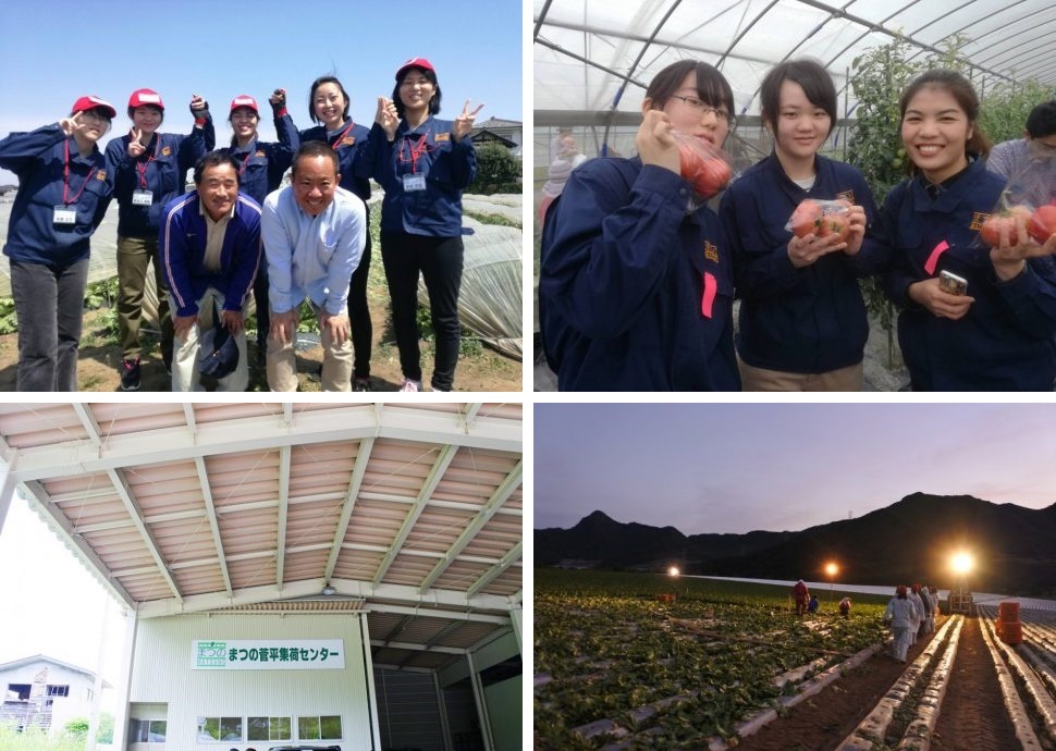 まつの産地研修