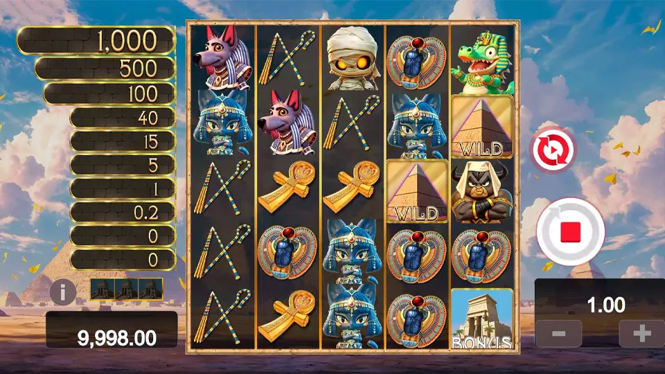 Cleo Team
