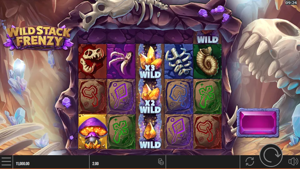 Wild Stack Frenzy