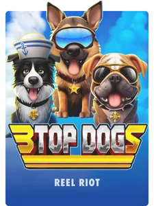 3 Top Dogs