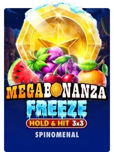 Megabonanza Freeze Hold Hit 3x3