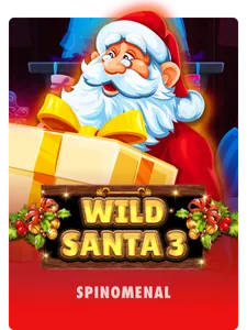 Wild Santa 3