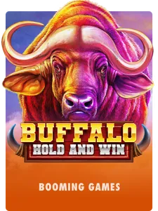 Buffalo Hold and Win