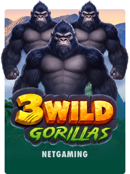 3 Wild Gorillas