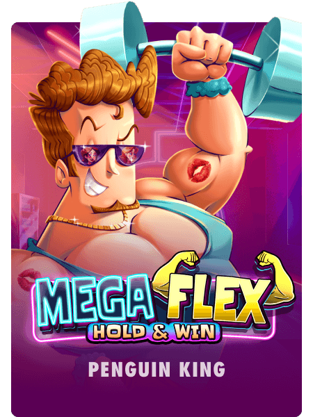 Mega Flex: Hold & Win