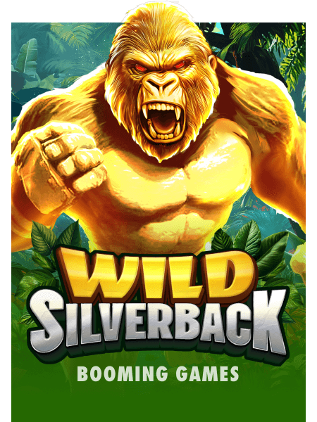 Wild Silverback
