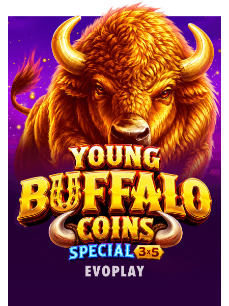 Young Buffalo Coins Special 3x5