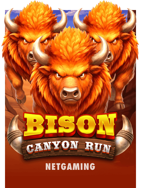 Bison - Canyon Run