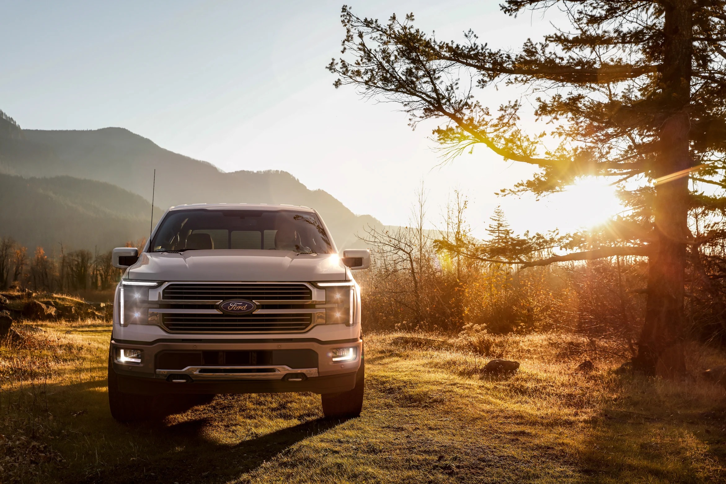 2024 Ford F-150 Hybrid Front