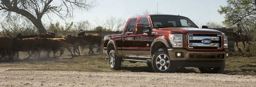 Used 2015 Ford F-150 King Ranch Exterior