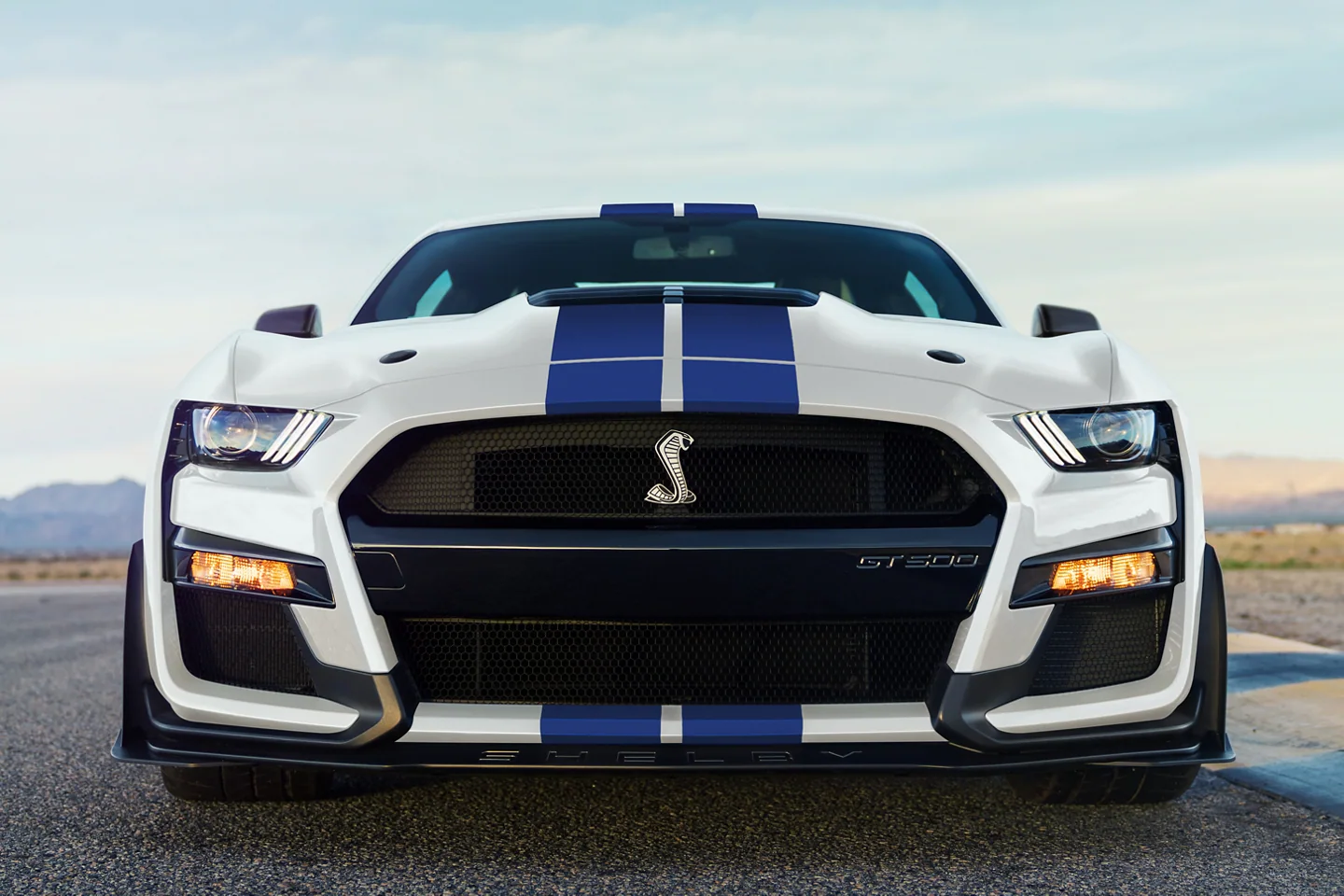 2022 Ford Mustang Shelby GT500