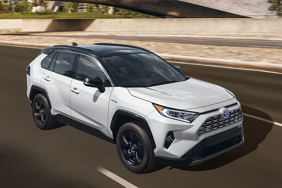 2019 Toyota RAV4 on the Road