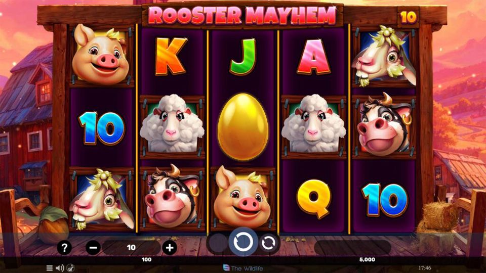 Rooster Mayhem