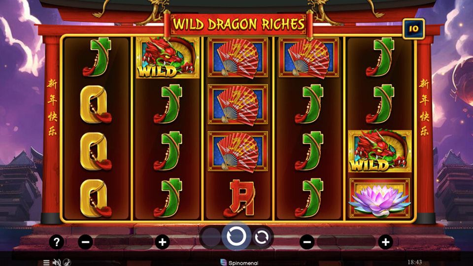 Wild Dragon Riches