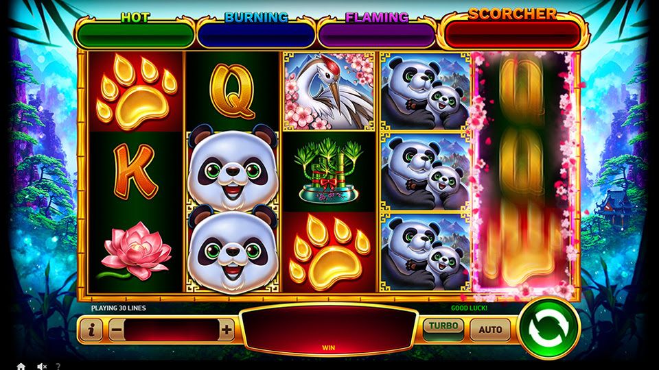 Bamboo Fortune
