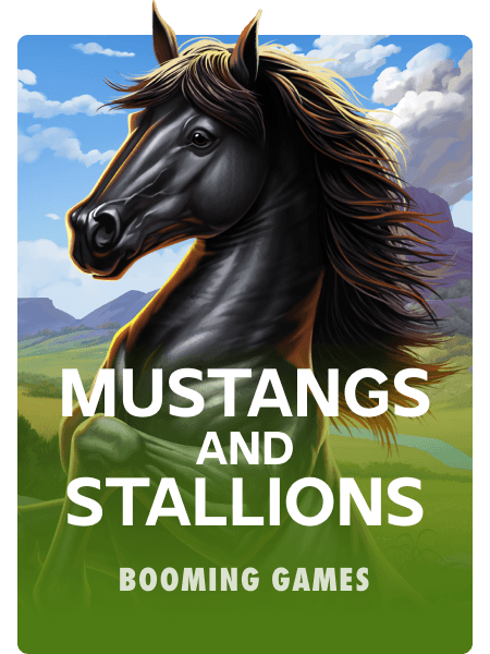 Mustangs and Stallions