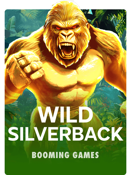 Wild Silverback