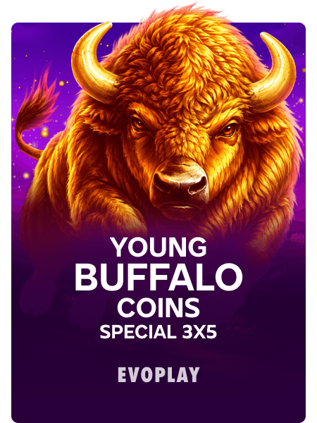 Young Buffalo Coins Special 3x5