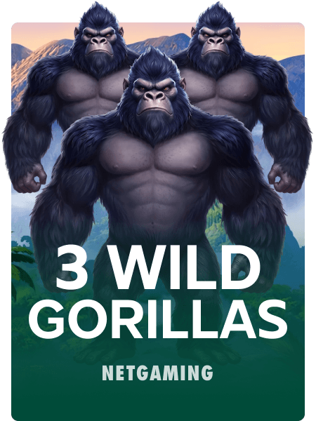 3 Wild Gorillas