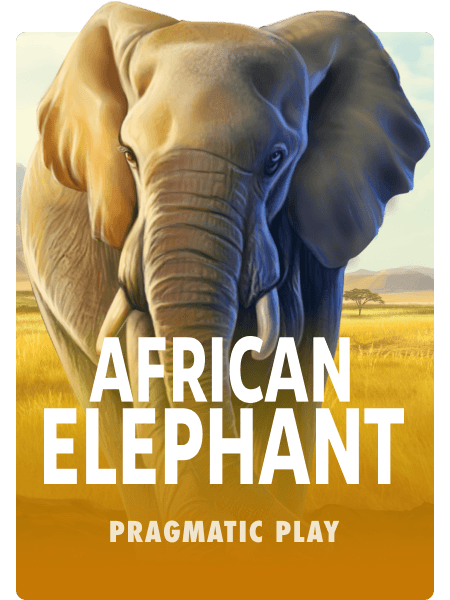 African Elephant